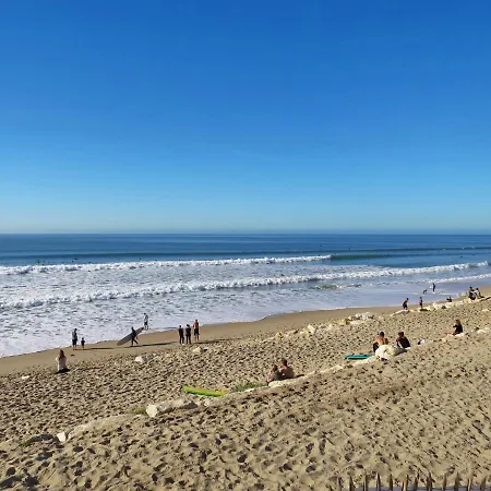 Les Landaises-12 By Interhome 라카노오세앙