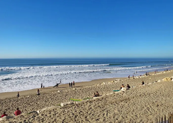 Les Landaises-12 By Interhome Lacanau